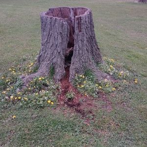 Meet your Posher, Juliane